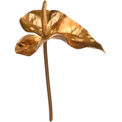 Depot Anthurium Ca. 80Cm, Silber