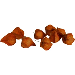 Depot Articles A Parsemer Boutons De Lampions