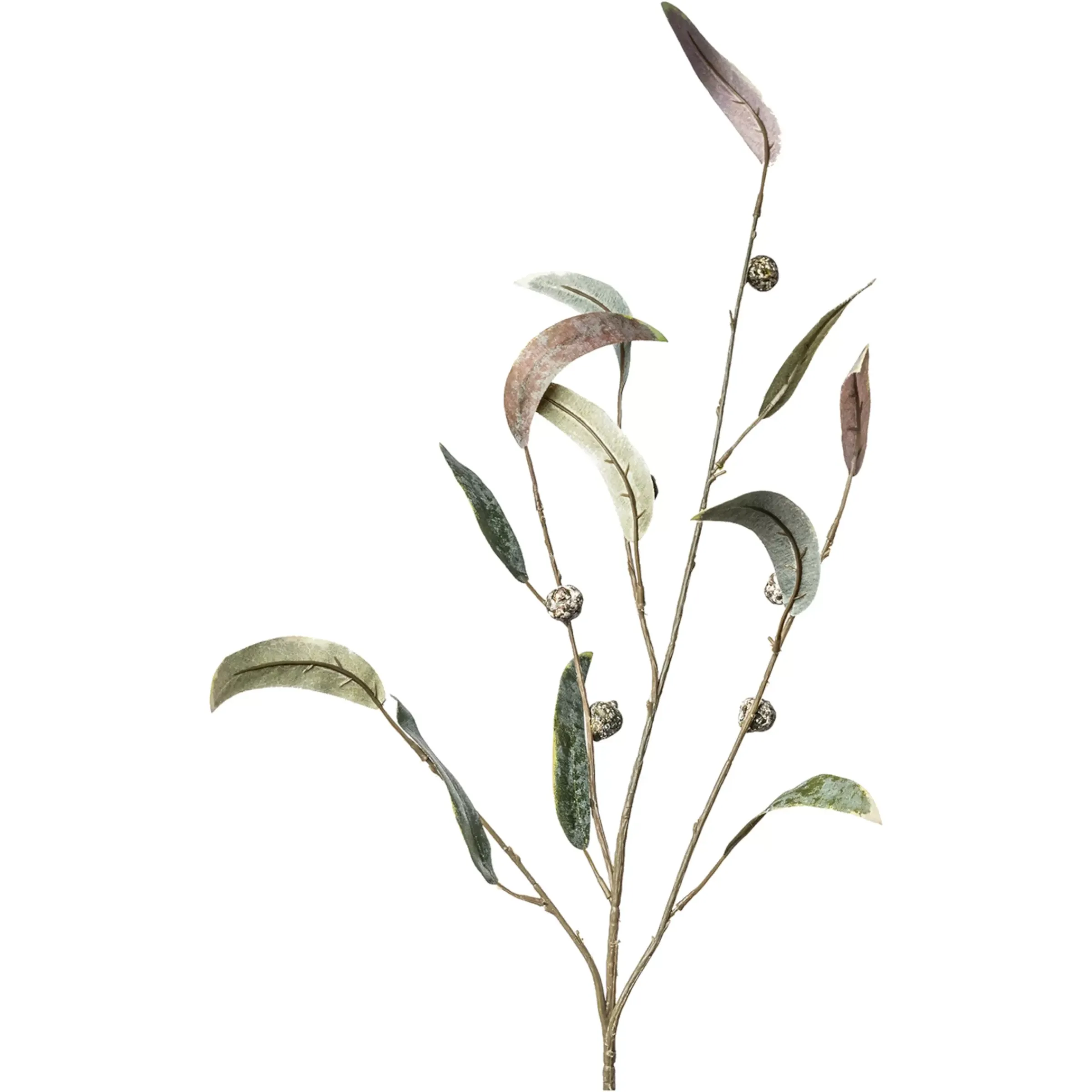 Depot Baies De Branche D'Art