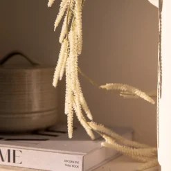 Depot Boite A Provisions