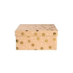 Depot Boite Cadeau Dots