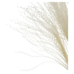 Depot Bouquet De Fleurs Sechees Scintillantes Miscanthus Clearance