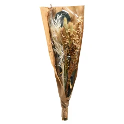 Depot Bouquet De Fleurs Sechees Shop