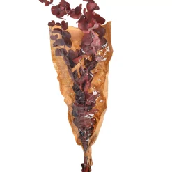 Depot Bouquet De Fleurs Sechees Eucalyptus