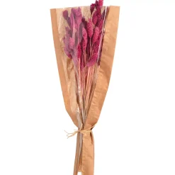 Depot Bouquet De Fleurs Sechees Herbe De Velours