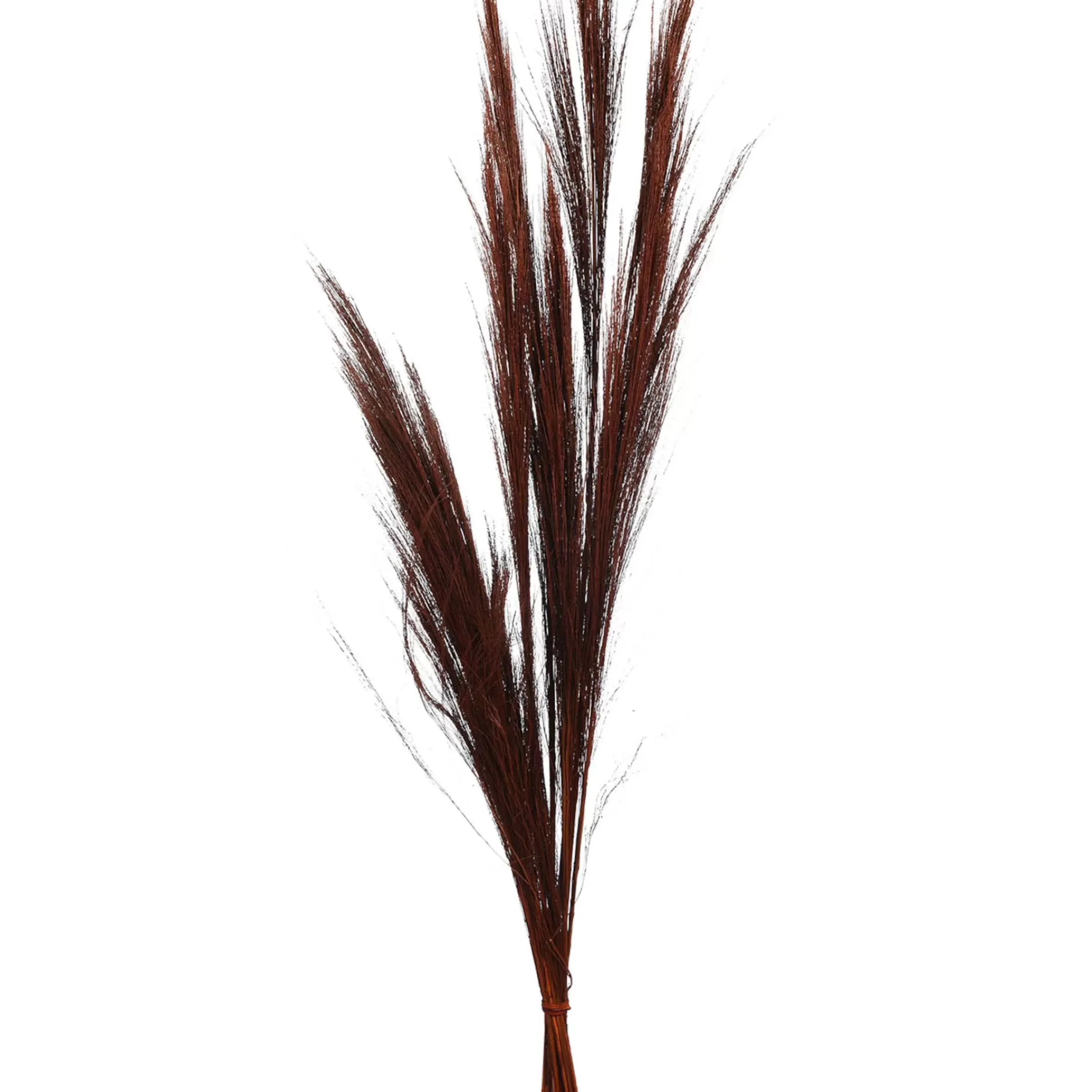 Depot Bouquet De Fleurs Sechees Herbe A Balai