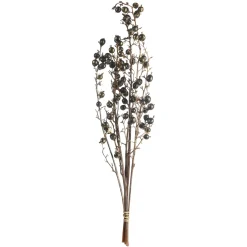 Depot Bouquet De Fleurs Sechees Baies