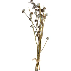 Depot Bouquet De Fleurs Sechees Branches De Bourgeons