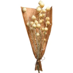 Depot Bouquet De Fleurs Sechees Carlina Clearance