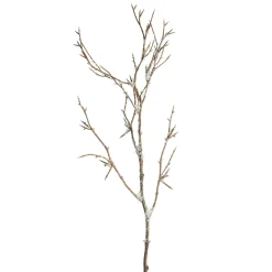 Depot Branche Artificielle, Enneigee