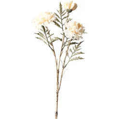 Depot Branche Artistique Chrysantheme