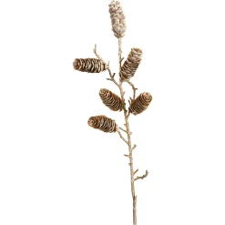 Depot Branche Artistique Cone