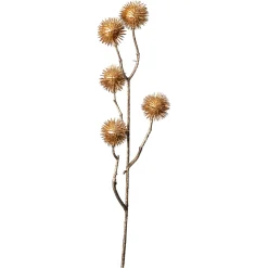 Depot Branche Artistique De Thorn