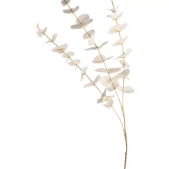 Depot Branche Artistique Eucalyptus