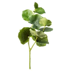 Depot Branche Artistique Eucalyptus Cheap