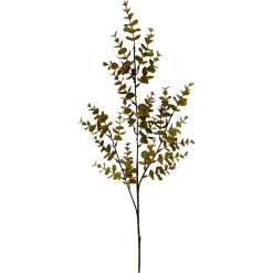 Depot Branche Artistique Eucalyptus