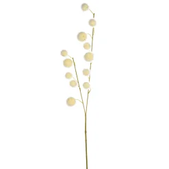 Depot Branche Artistique Fruit