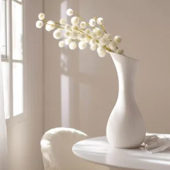 Depot Branche Artistique Fruit