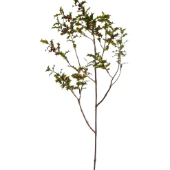 Depot Branche Artistique Goldilex