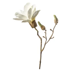 Depot Branche Artistique Magnolia Discount