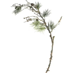 Depot Branche Artistique Pin