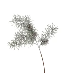 Depot Branche De Sapin Artistique