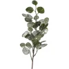 Depot Branche D'Eucalyptus Artificielle Avec Neige