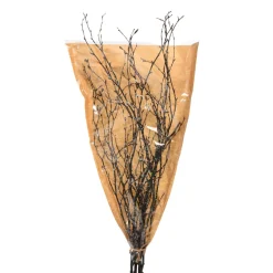 Depot Branche Naturelle Scintillante Shop