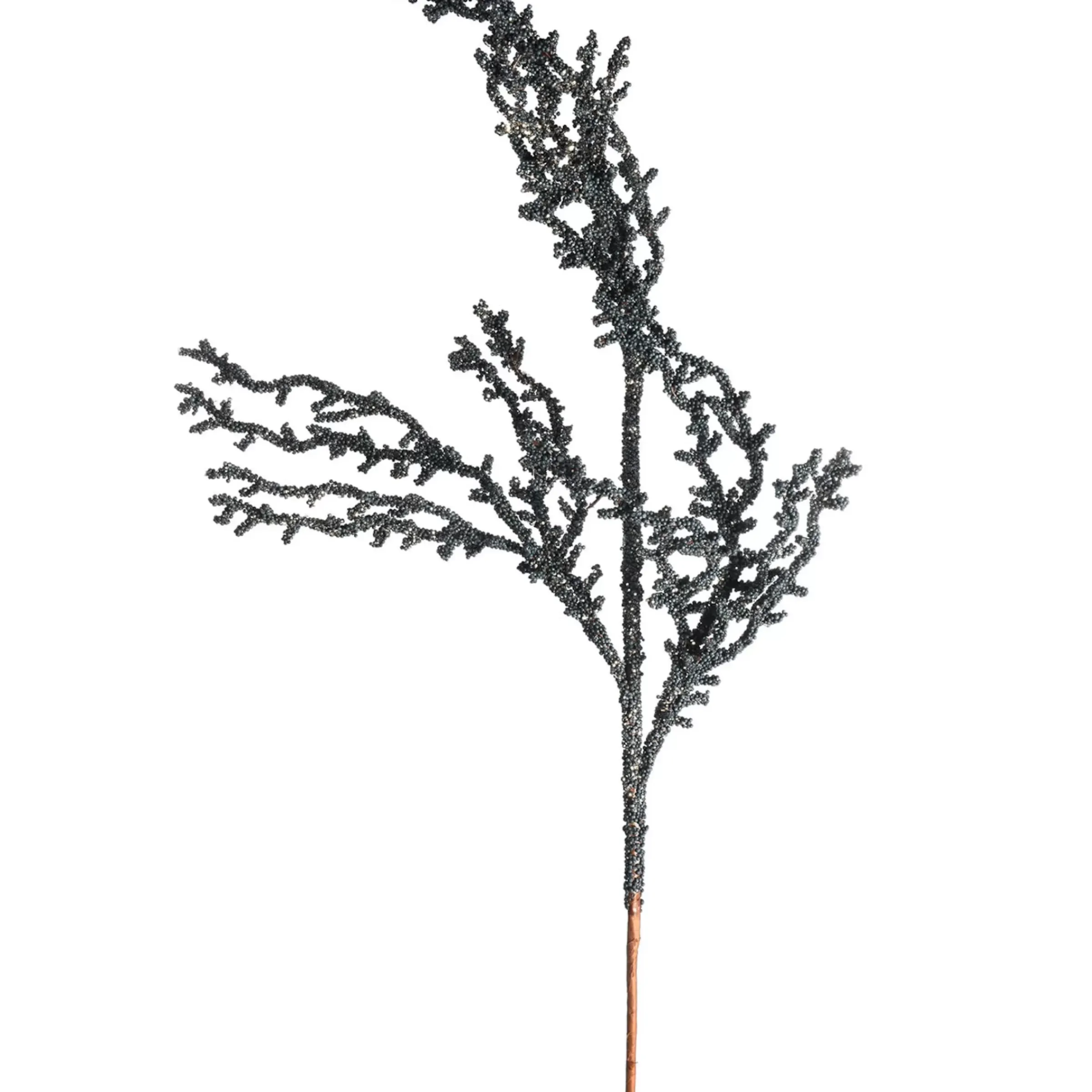 Depot Bubble, Branche Artistique Scintillante