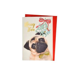 Depot Carte Pliante Chiot