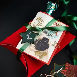 Depot Carte Pliante Chiot