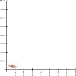 Depot Couronne De Fleurs Sechees Little