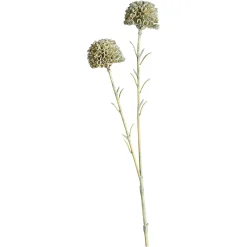 Depot Cueillette De Fleurs Artificielles Scabosia