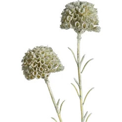 Depot Cueillette De Fleurs Artificielles Scabosia