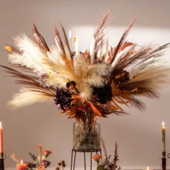 Depot Fagot Sec D'Herbe De La Pampa Flash Sale