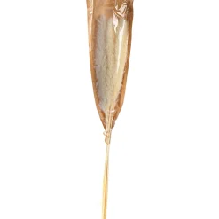 Depot Fagot Sec D'Herbe De La Pampa Flash Sale