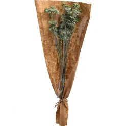 Depot Fagots Secs Achillea Hot