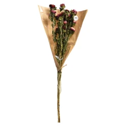 Depot Fagots Secs D'Immortelles Clearance