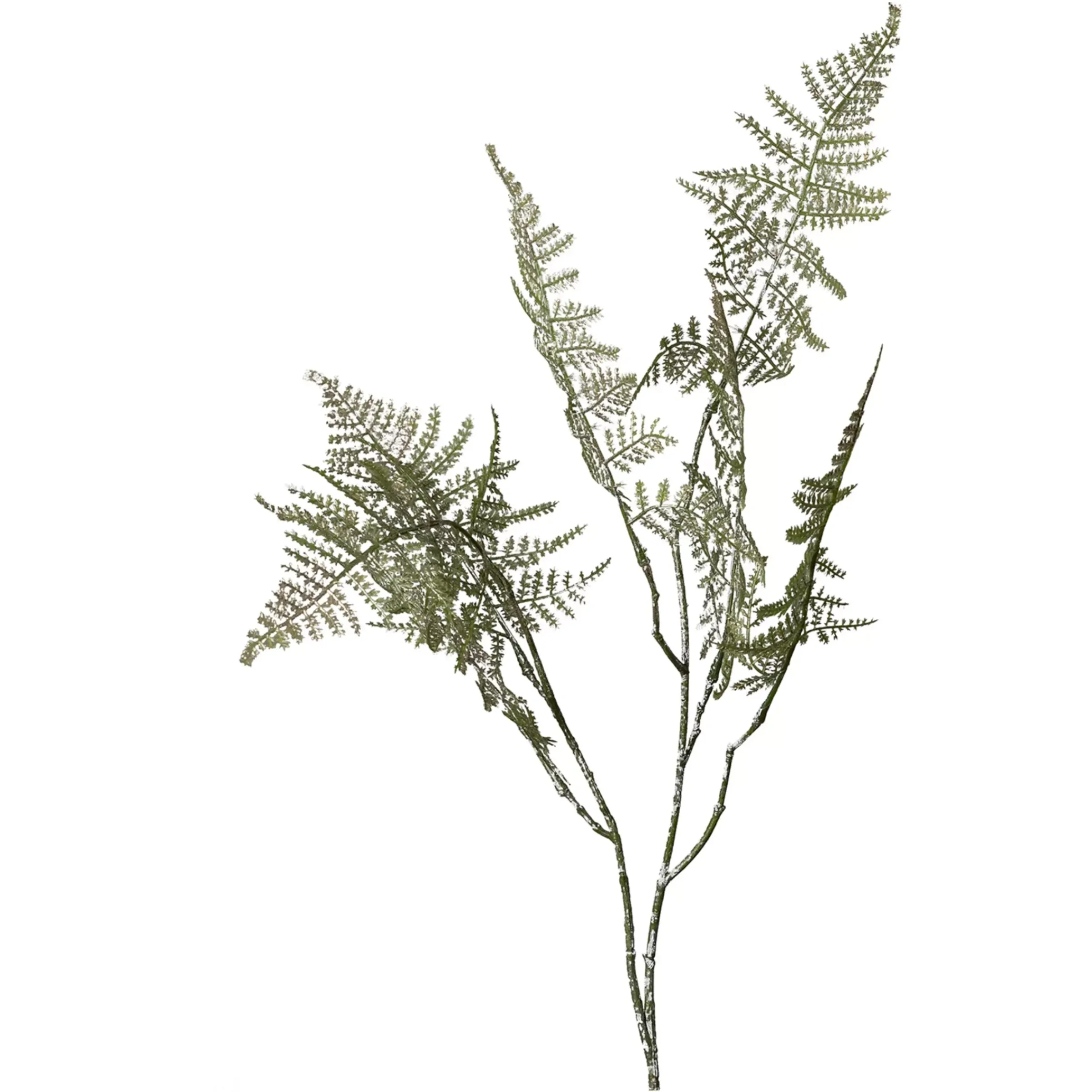 Depot Farnzweig 88Cm, Grun