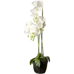 Depot Fleur Artificielle Orchidee Phalaenopsis En Terre