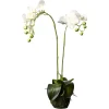 Depot Fleur Artificielle Orchidee Phalaenopsis En Terre