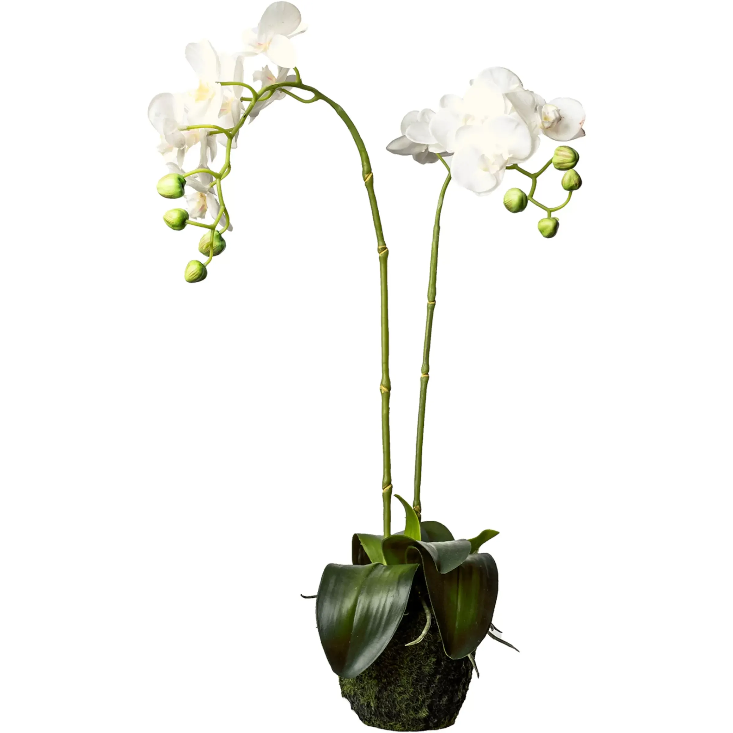 Depot Fleur Artificielle Orchidee Phalaenopsis En Terre