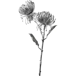 Depot Fleur De Tige Artificielle Protea