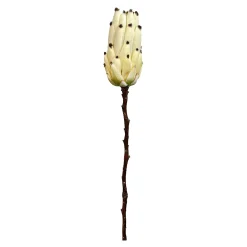 Depot Fleur De Tige Artificielle Protea Outlet