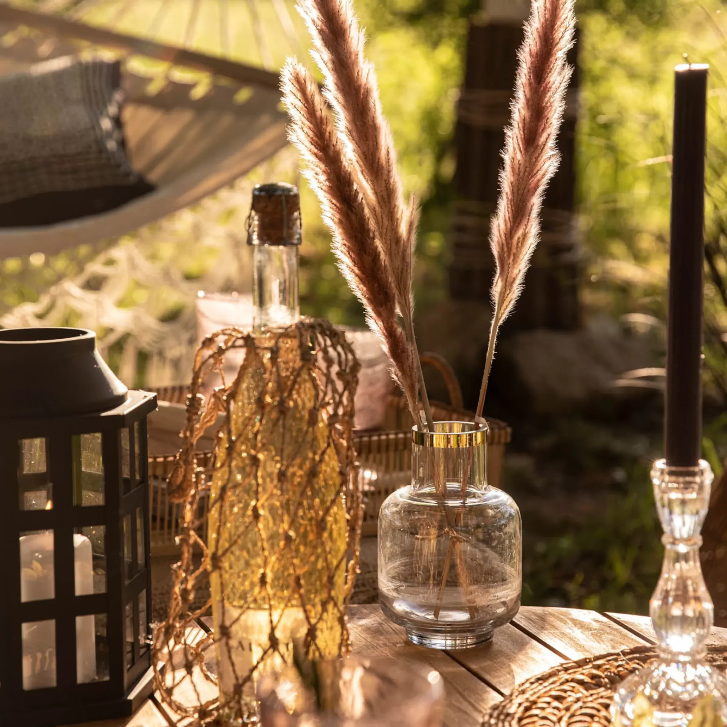 Depot Fleur Sechee Herbe De La Pampa