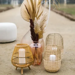 Depot Fleur Sechee Indian Corn Cheap