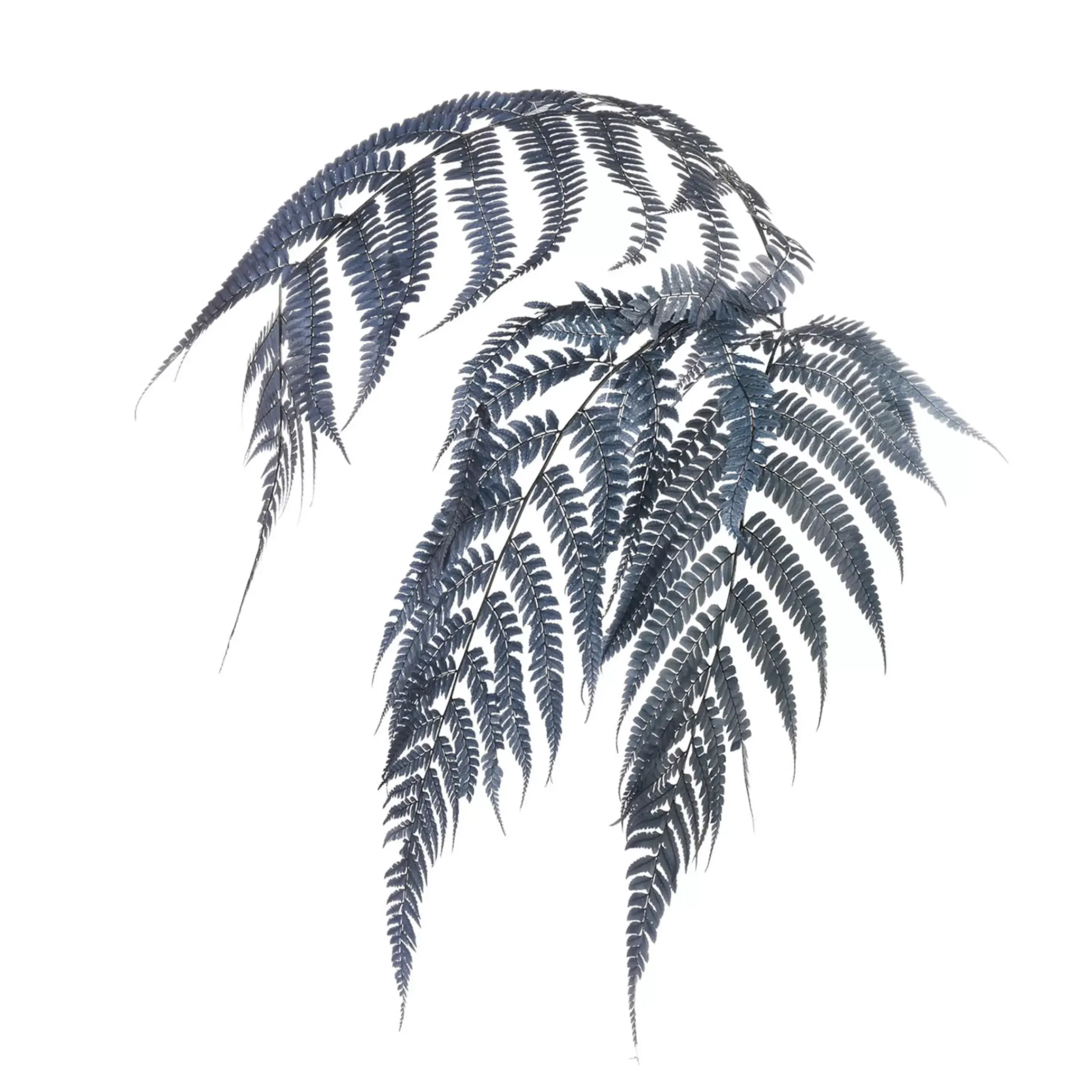 Depot Fleurs Deco Fougere