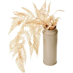 Depot Fleurs Deco Fougere