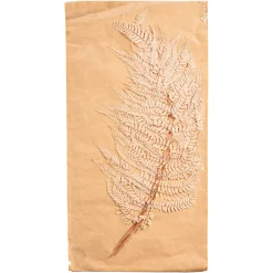 Depot Fleurs Deco Fougere