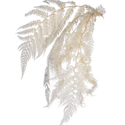 Depot Fleurs Deco Fougere